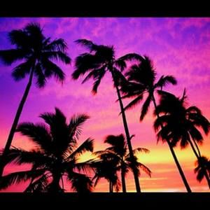 Meet your Posher, Rima